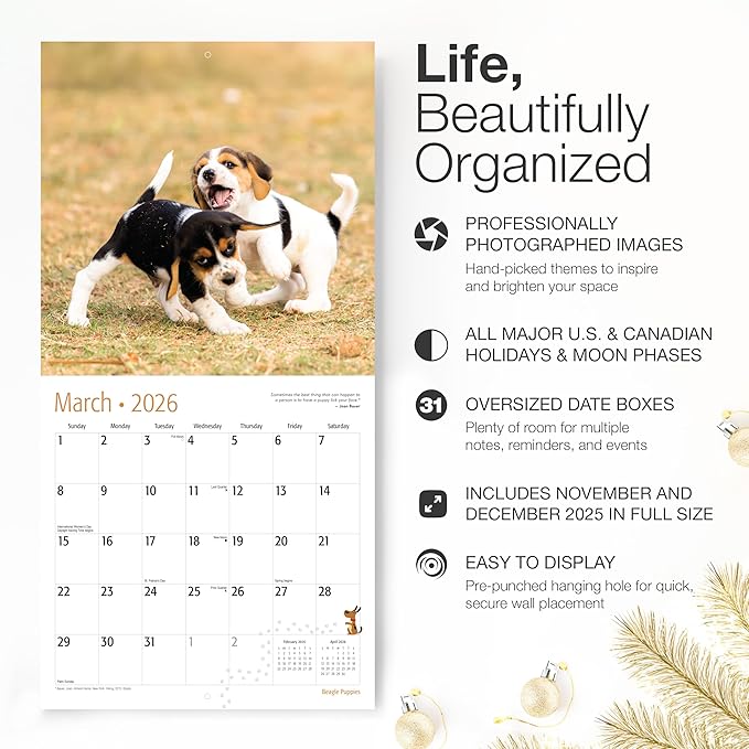 RED EMBER Beagle Puppies 2026 Wall Calendar 12 Month | 12" x 24" Open | Thick & Sturdy Paper | Holiday Gift | Cute Puppy Dog Calendar 2026