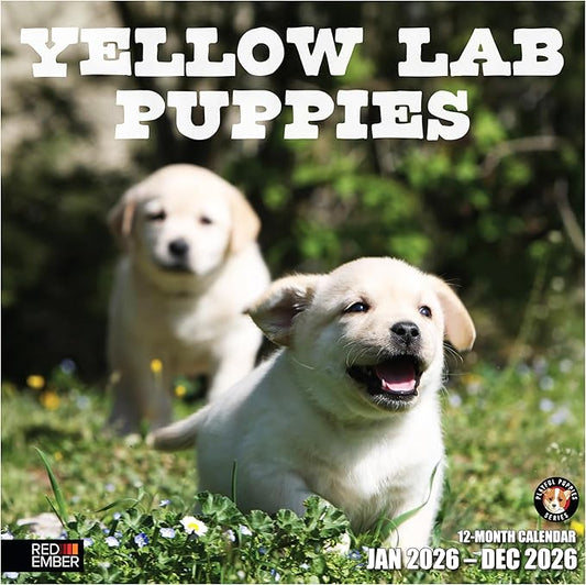 RED EMBER Yellow Lab Puppies 2026 Wall Calendar 12 Month | 12" x 24" Open | Thick & Sturdy Paper | Holiday Gift | Cute Labrador Retriever Puppy Dog Calendar 2026