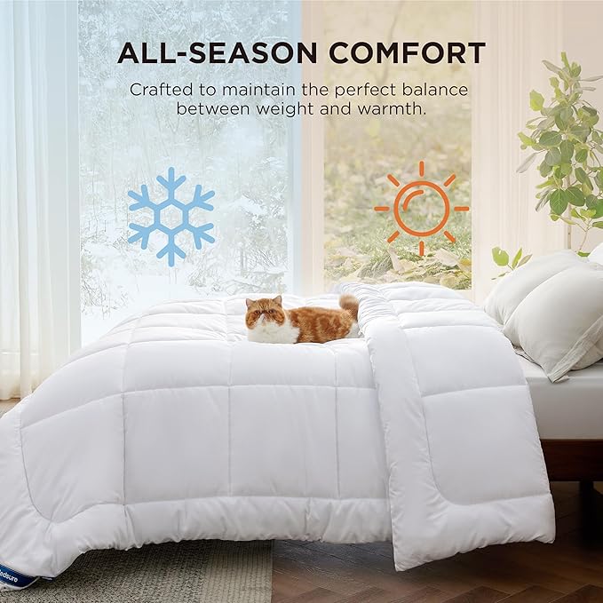 Bedsure Comforter Duvet Insert - Quilted Comforters Queen Size, All Season Duvet, Down Alternative Bedding, with 8 Tabs, Gifts for Women/Men, White, Queen 88 x 88 Inches