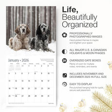 RED EMBER English Setters 2026 Wall Calendar 12 Month | 12