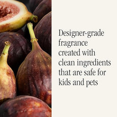 Pura x Studio McGee Home Scent Refill - Smart Air Diffuser - Up to 120-Hours of Luxury Fragrance per Refill - Home Essential - Clean & Safe Diffuser Fragrance - 2 Pack, Winter Bayberry