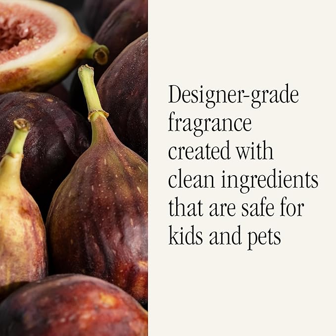 Pura x Studio McGee Home Scent Refill - Smart Air Diffuser - Up to 120-Hours of Luxury Fragrance per Refill - Home Essential - Clean & Safe Diffuser Fragrance - 2 Pack, Winter Bayberry