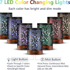 Essential Oil Diffuser Aromatherapy Diffuser - Metal Aroma Diffuser for Home 150ml Ultrasonic Cool Mist Diffuser with 7 Colors Light Auto Shut-Off Protection for Home Office Decor & Gift (Dragonfly)