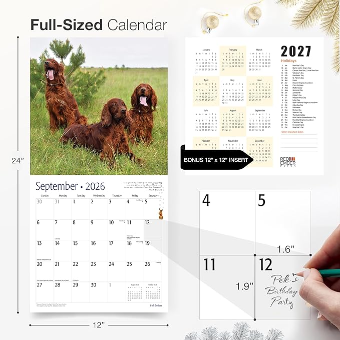 RED EMBER Irish Setters 2026 Wall Calendar 12 Month | 12" x 24" Open | Thick & Sturdy Paper | Holiday Gift | Cute Puppy Dog Calendar 2026
