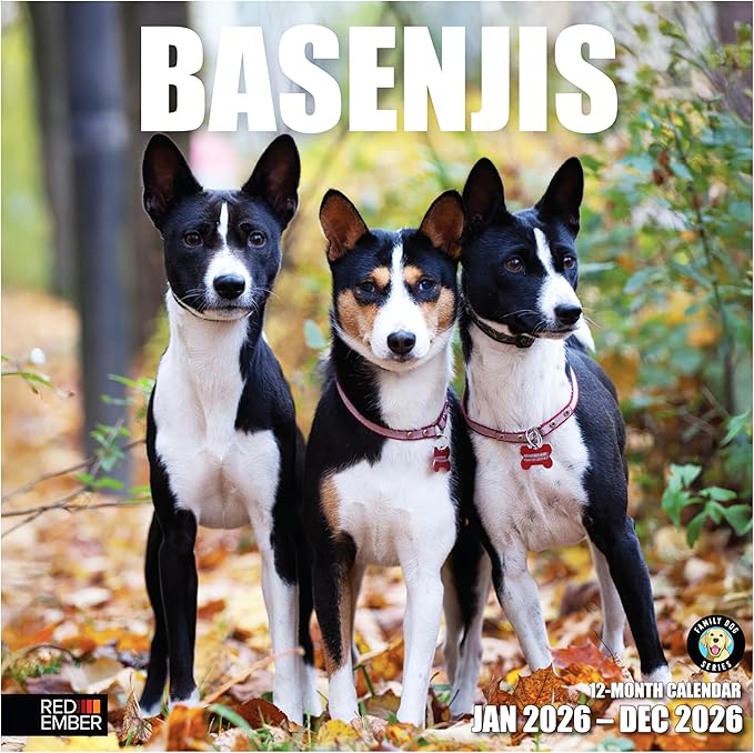 RED EMBER Basenjis 2026 Wall Calendar 12 Month | 12" x 24" Open | Thick & Sturdy Paper | Holiday Gift | Cute Puppy Dog Calendar 2026