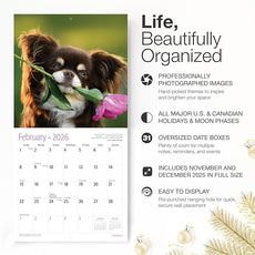 RED EMBER Chihuahuas 2026 Wall Calendar 12 Month | 12