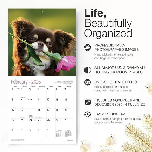 RED EMBER Chihuahuas 2026 Wall Calendar 12 Month | 12" x 24" Open | Thick & Sturdy Paper | Holiday Gift | Cute Puppy Dog Calendar 2026
