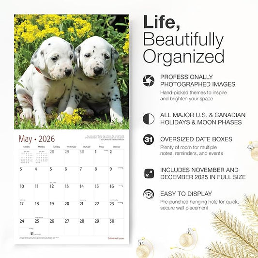 RED EMBER Dalmatian Puppies 2026 Wall Calendar 12 Month | 12" x 24" Open | Thick & Sturdy Paper | Holiday Gift | Cute Puppy Dog Calendar 2026