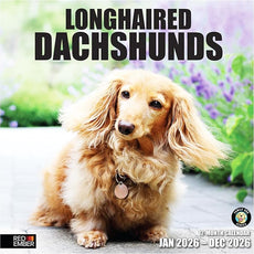 RED EMBER Longhaired Dachshunds 2026 Wall Calendar 12 Month | 12