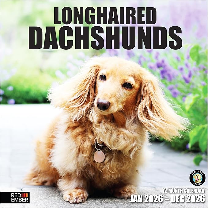 RED EMBER Longhaired Dachshunds 2026 Wall Calendar 12 Month | 12" x 24" Open | Thick & Sturdy Paper | Holiday Gift | Cute Puppy Weiner Dog Calendar 2026