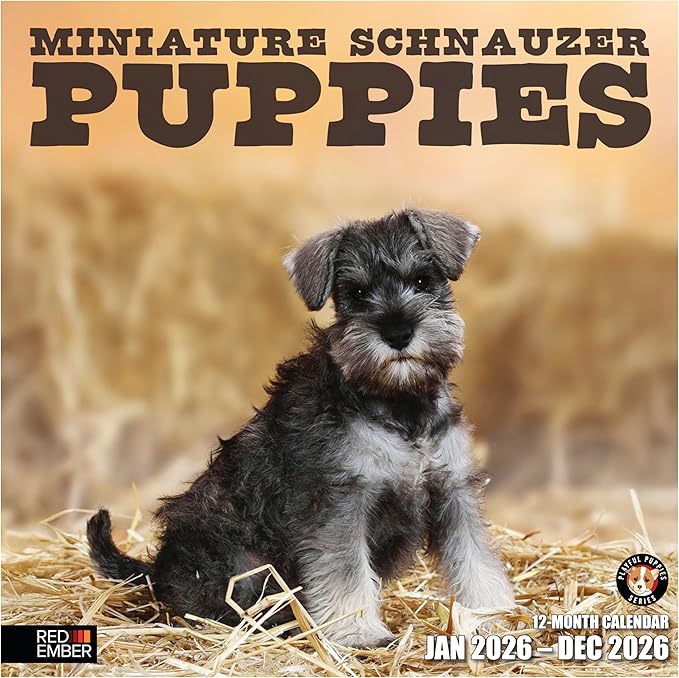 RED EMBER Miniature Schnauzer Puppies 2026 Wall Calendar 12 Month | 12" x 24" Open | Thick & Sturdy Paper | Holiday Gift | Cute Puppy Dog Calendar 2026