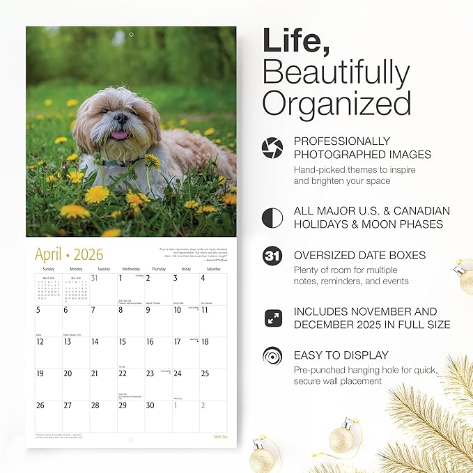 RED EMBER Shih Tzu 2026 Wall Calendar 12 Month | 12" x 24" Open | Thick & Sturdy Paper | Holiday Gift | Cute Puppy Dog Calendar 2026