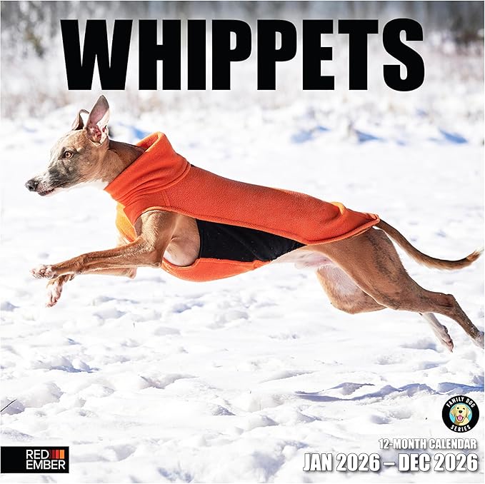 RED EMBER Whippets 2026 Wall Calendar 12 Month | 12" x 24" Open | Thick & Sturdy Paper | Holiday Gift | Cute Puppy Dog Calendar 2026