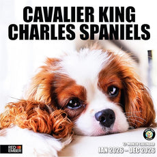 RED EMBER Cavalier King Charles Spaniels 2026 Wall Calendar 12 Month | 12