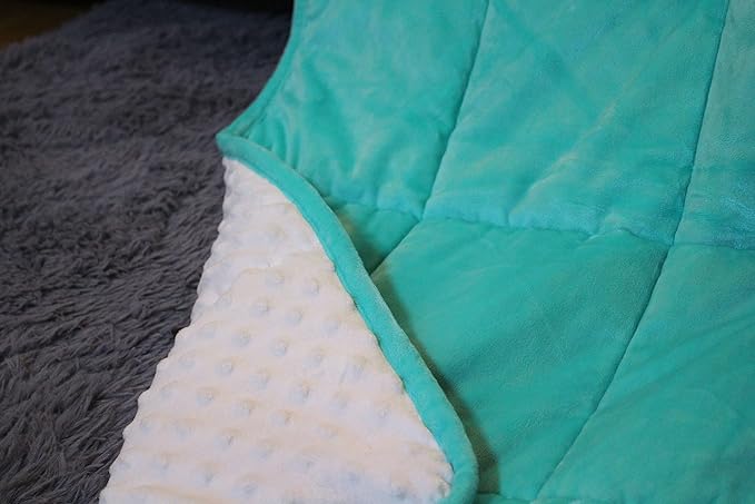 ALANSMA Reversible Weighted Blanket for All Season, Luxury Velvet, Warm and Cool, Adult 10Lb Green Weighted Blanket, Enjoy Sleeping Anywhere(Light Green,48"x72" 10lbs)