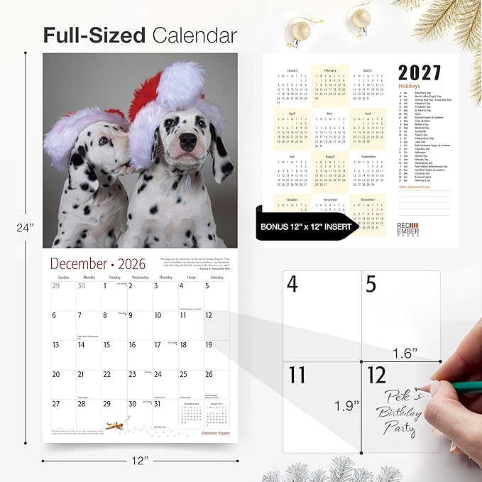 RED EMBER Dalmatian Puppies 2026 Wall Calendar 12 Month | 12" x 24" Open | Thick & Sturdy Paper | Holiday Gift | Cute Puppy Dog Calendar 2026