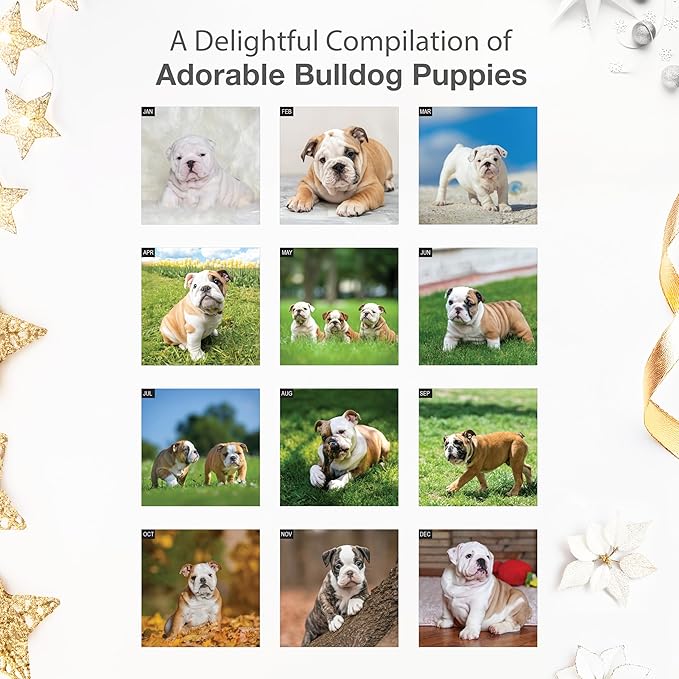 RED EMBER Bulldog Puppies 2026 Wall Calendar 12 Month | 12" x 24" Open | Thick & Sturdy Paper | Holiday Gift | Cute Puppy Dog Calendar 2026