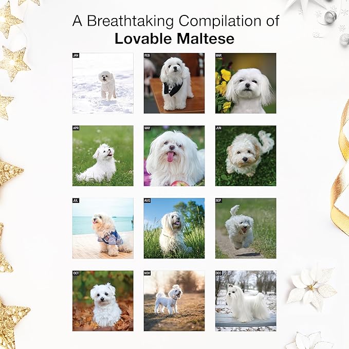 RED EMBER Maltese 2026 Mini Wall Calendar 12 Month | 7" x 14" Open | Thick & Sturdy Paper | Holiday Gift | Cute Puppy Dog Calendar 2026