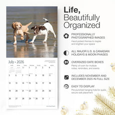 RED EMBER Cocker Spaniel Puppies 2026 Wall Calendar 12 Month | 12