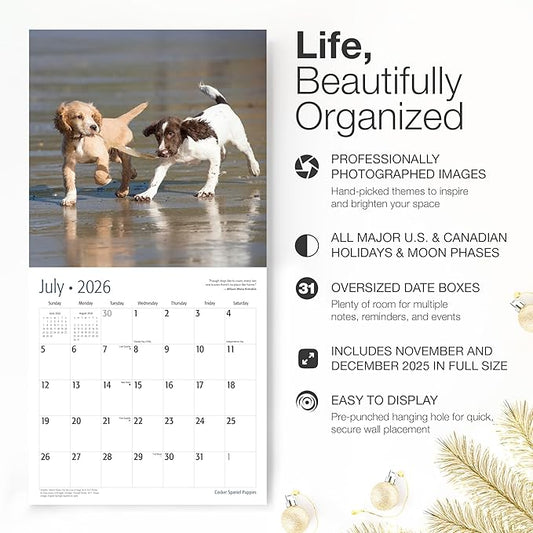 RED EMBER Cocker Spaniel Puppies 2026 Wall Calendar 12 Month | 12" x 24" Open | Thick & Sturdy Paper | Holiday Gift | Cute Puppy Dog Calendar 2026