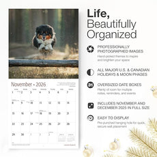 RED EMBER Australian Shepherds Aussies 2026 Wall Calendar 12 Month | 12