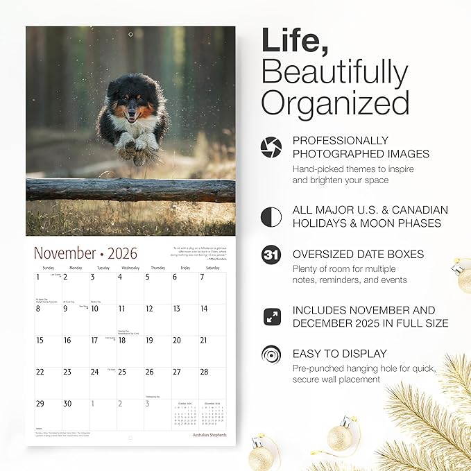 RED EMBER Australian Shepherds Aussies 2026 Wall Calendar 12 Month | 12" x 24" Open | Thick & Sturdy Paper | Holiday Gift | Cute Puppy Dog Calendar 2026
