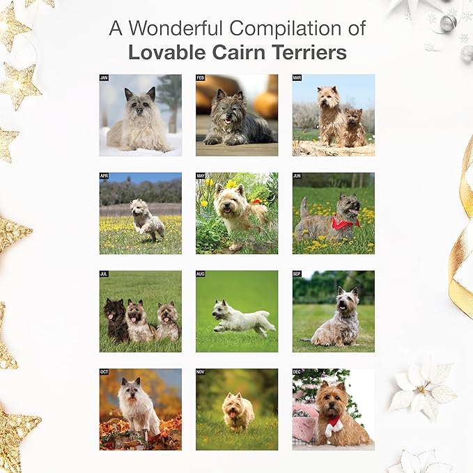 RED EMBER Cairn Terriers 2026 Wall Calendar 12 Month | 12" x 24" Open | Thick & Sturdy Paper | Holiday Gift | Cute Puppy Dog Calendar 2026