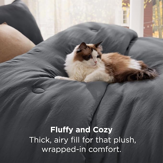 Bedsure Twin Comforter Set Dark Grey, Soft Prewashed Twin Size Bedding, Quilted Comforter with Circle Design, Down Alternative Comforter for All Seasons, 2 Pieces Bed Set with 1 Pillow Sham