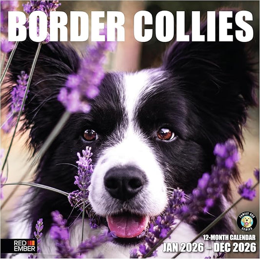 RED EMBER Border Collies 2026 Wall Calendar 12 Month | 12" x 24" Open | Thick & Sturdy Paper | Holiday Gift | Cute Puppy Dog Calendar 2026