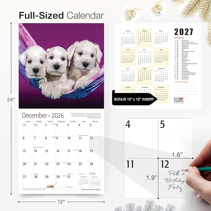 RED EMBER Miniature Schnauzer Puppies 2026 Wall Calendar 12 Month | 12" x 24" Open | Thick & Sturdy Paper | Holiday Gift | Cute Puppy Dog Calendar 2026