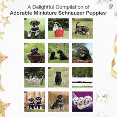 RED EMBER Miniature Schnauzer Puppies 2026 Wall Calendar 12 Month | 12