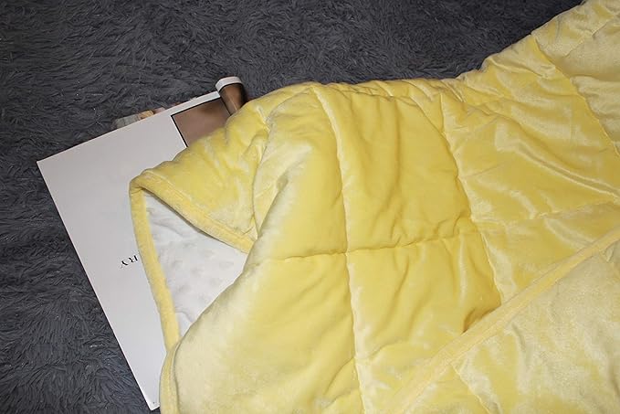 ALANSMA Reversible Weighted Blanket for All Season, Luxury Velvet, Warm and Cool, Adult 10Lb Yellow Weighted Blanket, Enjoy Sleeping Anywhere(Light Yellow,48"x72" 10lbs)