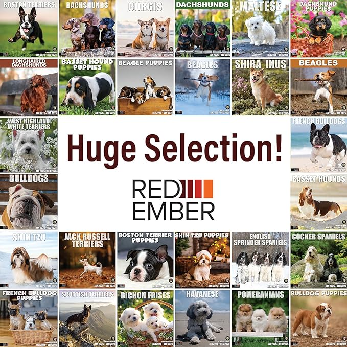RED EMBER Beagle Puppies 2025 Wall Calendar 12 Month | 12" x 24" Open | Thick & Sturdy Paper | Giftable | Dog Calendar 2025
