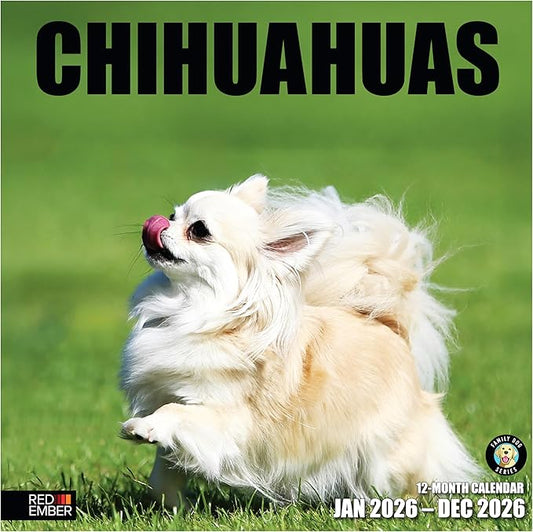 RED EMBER Chihuahuas 2026 Wall Calendar 12 Month | 12" x 24" Open | Thick & Sturdy Paper | Holiday Gift | Cute Puppy Dog Calendar 2026