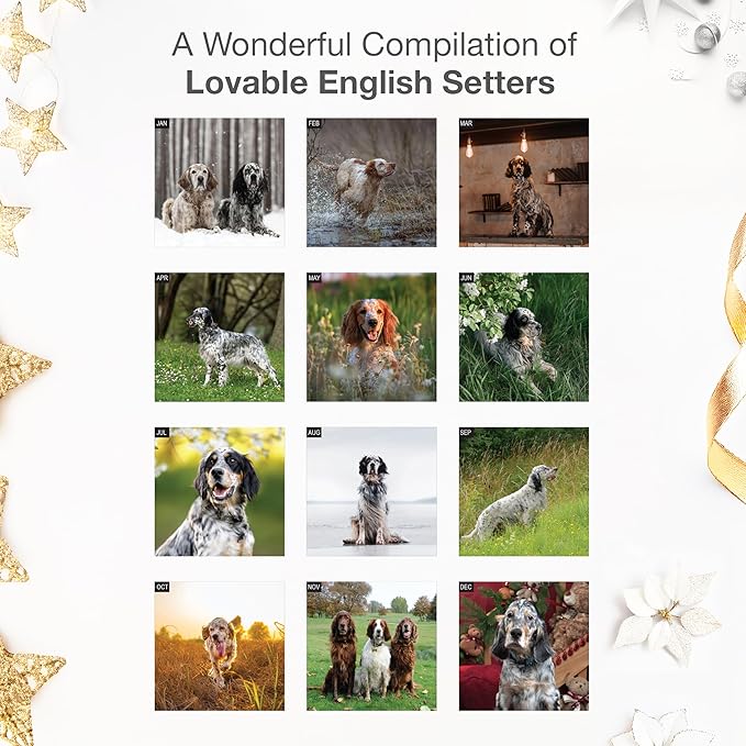 RED EMBER English Setters 2026 Wall Calendar 12 Month | 12" x 24" Open | Thick & Sturdy Paper | Holiday Gift | Cute Puppy Dog Calendar 2026