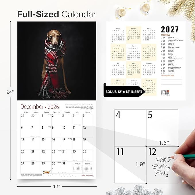 RED EMBER Italian Greyhounds 2026 Wall Calendar 12 Month | 12" x 24" Open | Thick & Sturdy Paper | Holiday Gift | Cute Puppy Dog Calendar 2026