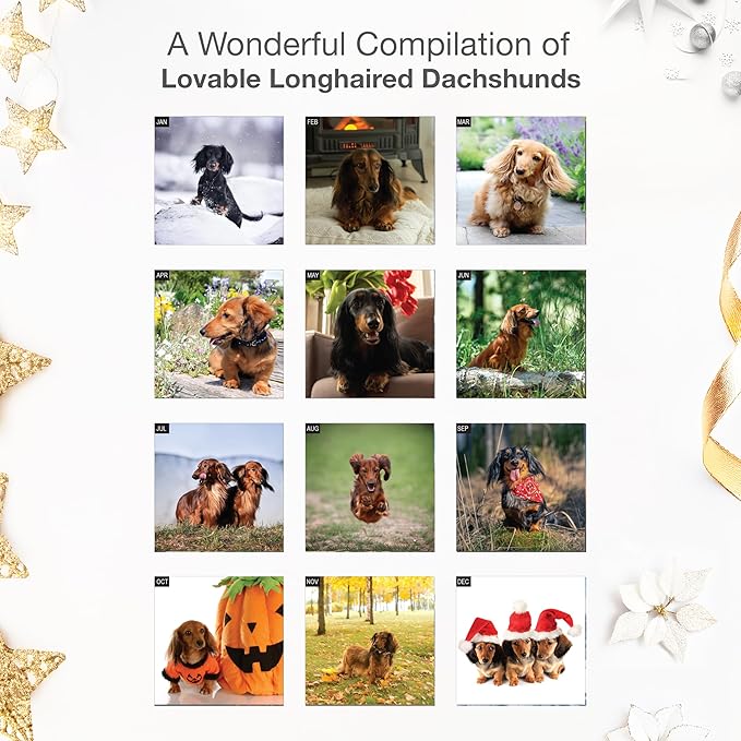 RED EMBER Longhaired Dachshunds 2026 Wall Calendar 12 Month | 12" x 24" Open | Thick & Sturdy Paper | Holiday Gift | Cute Puppy Weiner Dog Calendar 2026