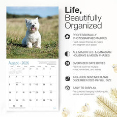 RED EMBER Westies West Highland White Terriers 2026 Wall Calendar 12 Month | 12