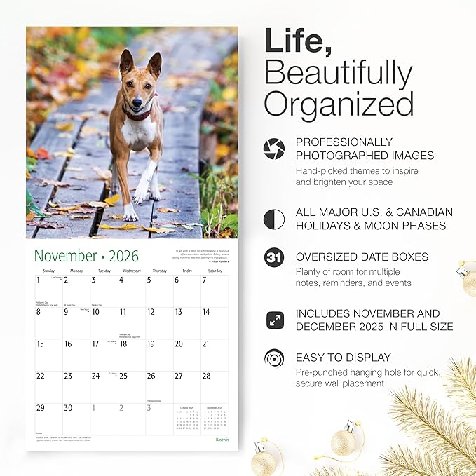RED EMBER Basenjis 2026 Wall Calendar 12 Month | 12" x 24" Open | Thick & Sturdy Paper | Holiday Gift | Cute Puppy Dog Calendar 2026
