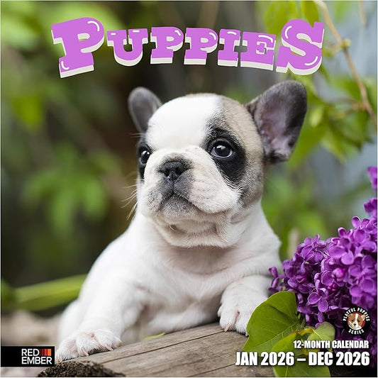 RED EMBER Puppies 2026 Wall Calendar 12 Month | 12" x 24" Open | Thick & Sturdy Paper | Holiday Gift | Cute Puppy Dog Calendar 2026