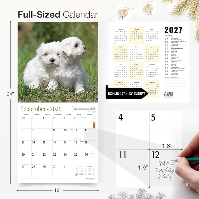 RED EMBER Maltese Puppies 2026 Wall Calendar 12 Month | 12" x 24" Open | Thick & Sturdy Paper | Holiday Gift | Cute Puppy Dog Calendar 2026