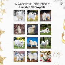RED EMBER Samoyeds 2026 Wall Calendar 12 Month | 12