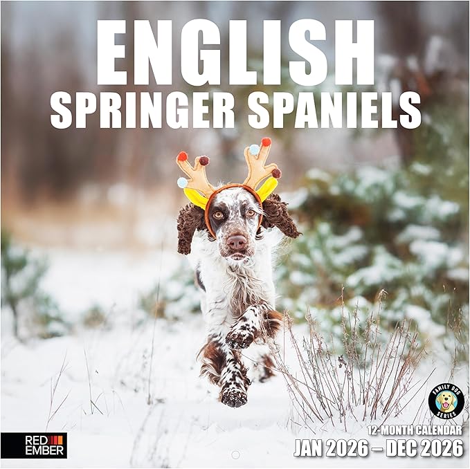RED EMBER English Springer Spaniels 2026 Wall Calendar 12 Month | 12" x 24" Open | Thick & Sturdy Paper | Holiday Gift | Cute Puppy Dog Calendar 2026