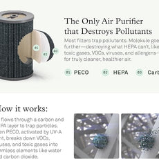 Molekule Air Pro Air Purifier - Purifies Rooms Up to 1000 Sq Ft with High Foot Traffic - FDA Cleared for Destruction of Viruses, Bacteria & Mold - Silver