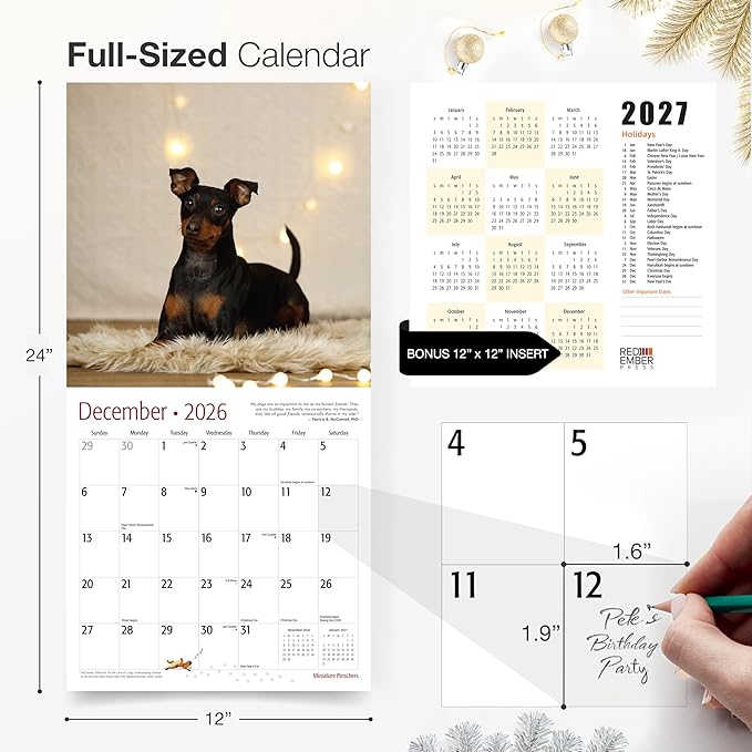 RED EMBER Miniature Pinschers 2026 Wall Calendar 12 Month | 12" x 24" Open | Thick & Sturdy Paper | Holiday Gift | Cute Puppy Dog Calendar 2026