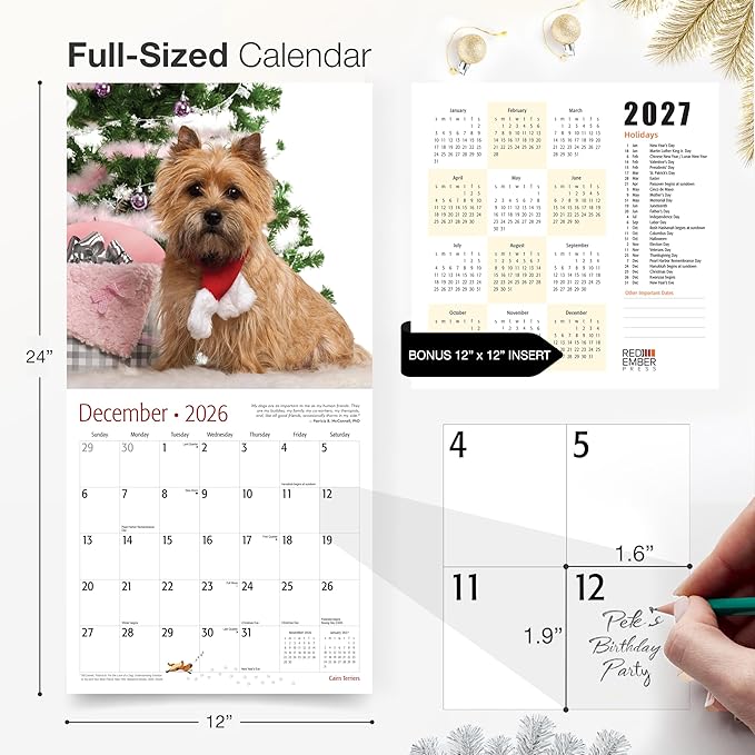 RED EMBER Cairn Terriers 2026 Wall Calendar 12 Month | 12" x 24" Open | Thick & Sturdy Paper | Holiday Gift | Cute Puppy Dog Calendar 2026