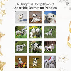 RED EMBER Dalmatian Puppies 2026 Wall Calendar 12 Month | 12