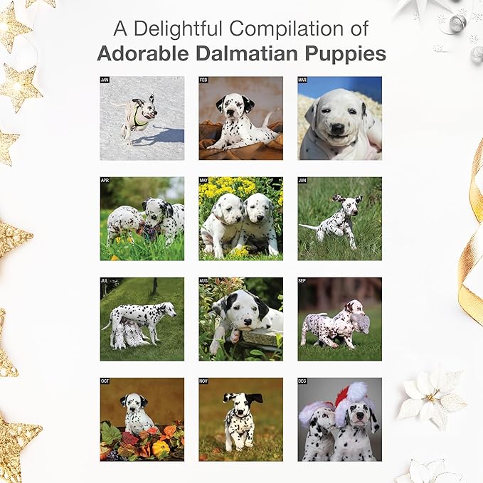RED EMBER Dalmatian Puppies 2026 Wall Calendar 12 Month | 12" x 24" Open | Thick & Sturdy Paper | Holiday Gift | Cute Puppy Dog Calendar 2026