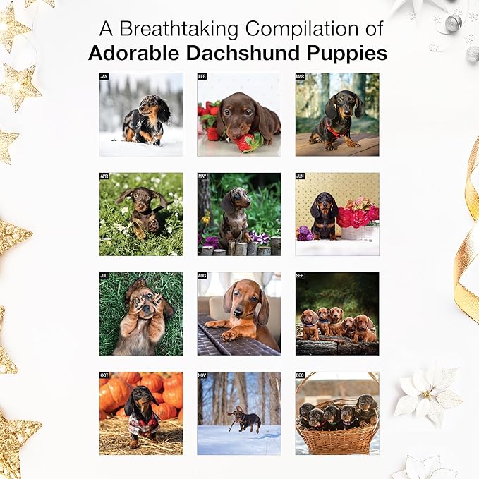RED EMBER Dachshund Puppies 2026 Mini Wall Calendar 12 Month | 7" x 14" Open | Thick & Sturdy Paper | Holiday Gift | Cute Weiner Puppy Dog Calendar 2026