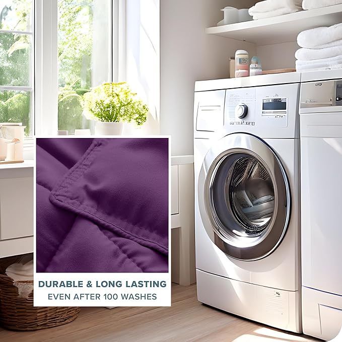 Bare Home Comforter Set - Full Size - Ultra-Soft - Goose Down Alternative - Premium 1800 Series - All Season Warmth (Full, Plum)